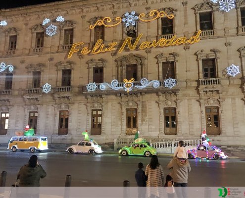 PHOTO GALLERY - Chihuahua - Palacio Xmass