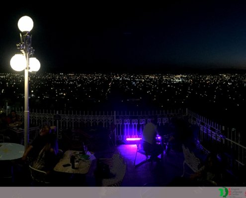 PHOTO GALLERY - Chihuahua at night