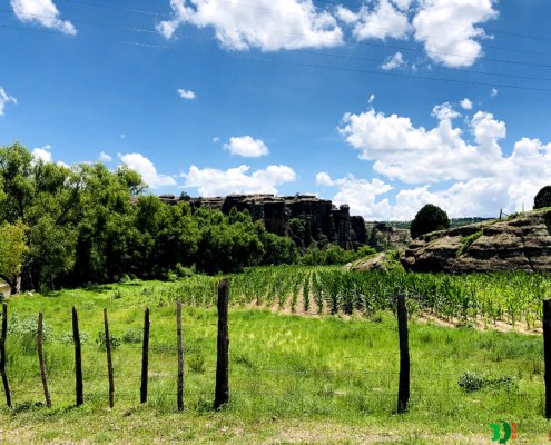 PHOTO GALLERY - Chihuahua bacaburiachi field