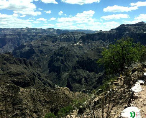 PHOTO GALLERY - Chihuahua barrancas de cobre